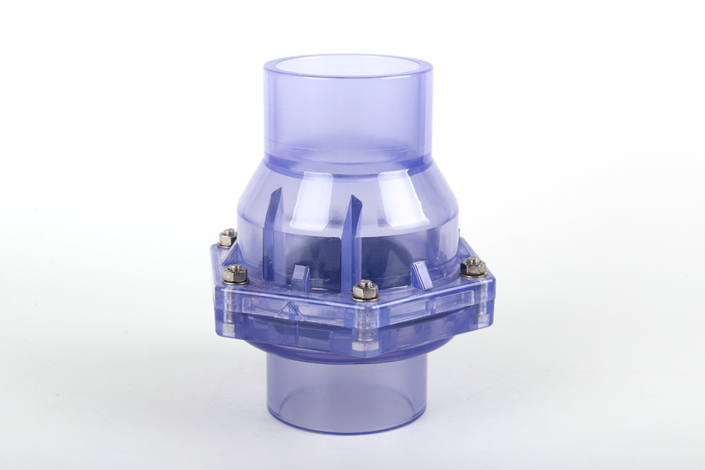 江苏透明翻板式止回阀